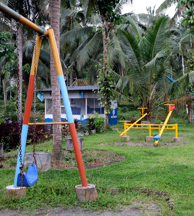Farm Activities