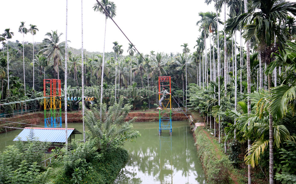 Zipline adventure